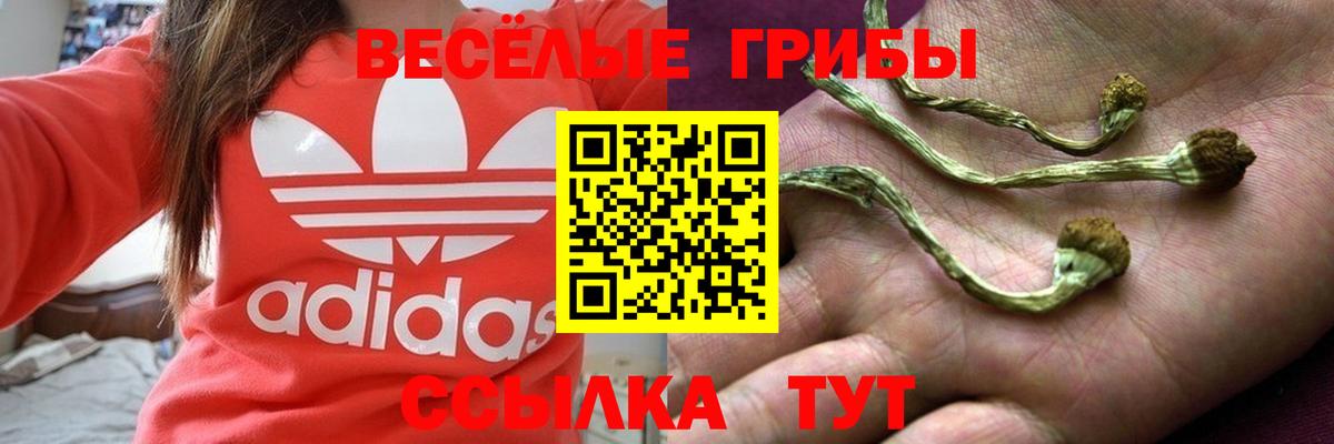 где купить наркоту  Галлюциногенные грибы ЛСД  Вход с VPN  Азнакаево  Псилоцибиновые грибы Cubensis 